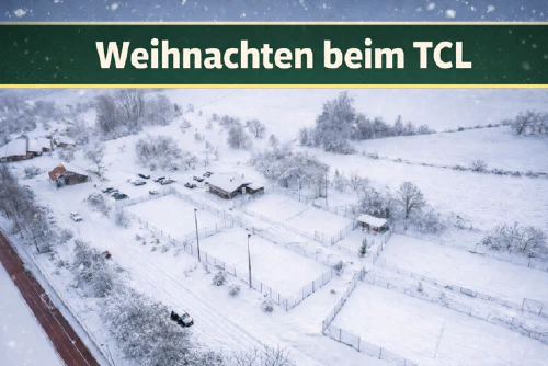 Weihnachtsfeier & Weihnachtsmuffelmarkt